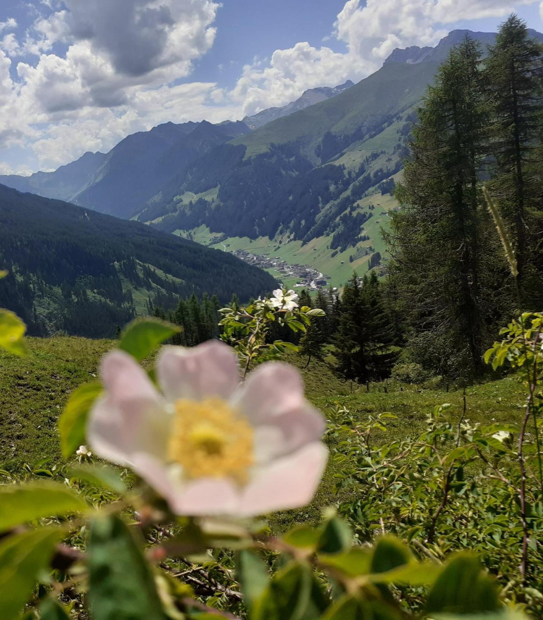 Haus Ausblick Lägenhet Tux Exteriör bild